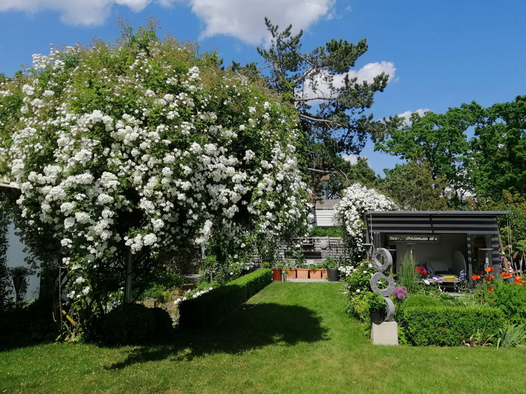 Spendenaktion beim Tag der offenen Gartentür