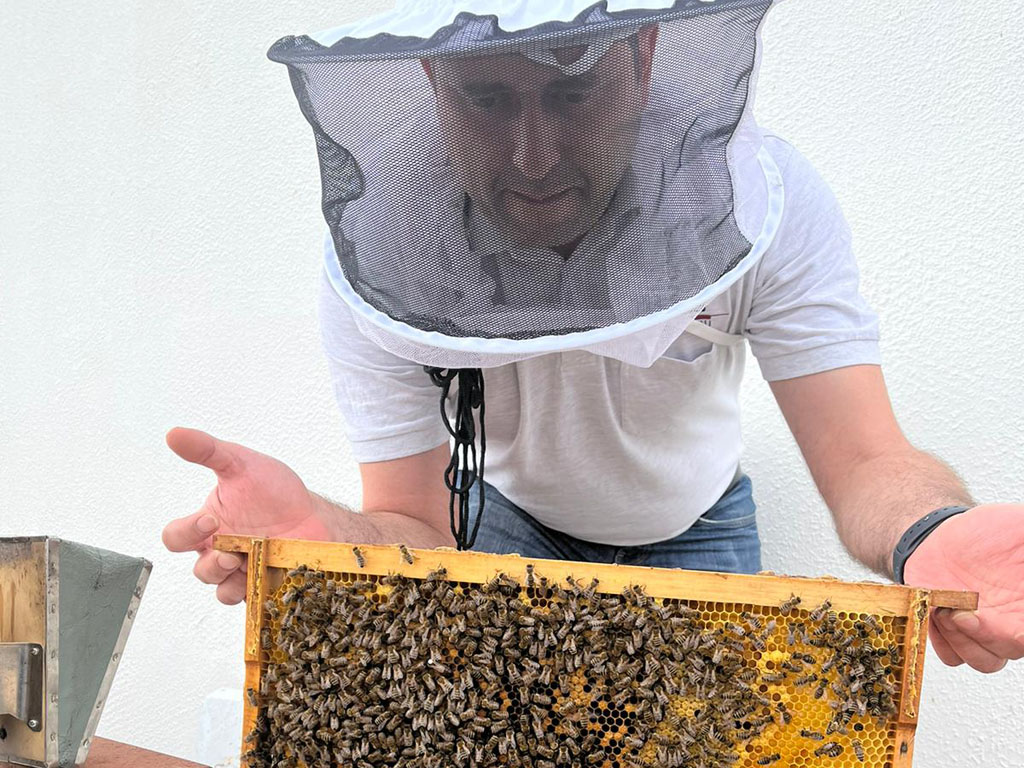 Honigbienen sammeln bei Kiess Innenausbau für den guten Zweck