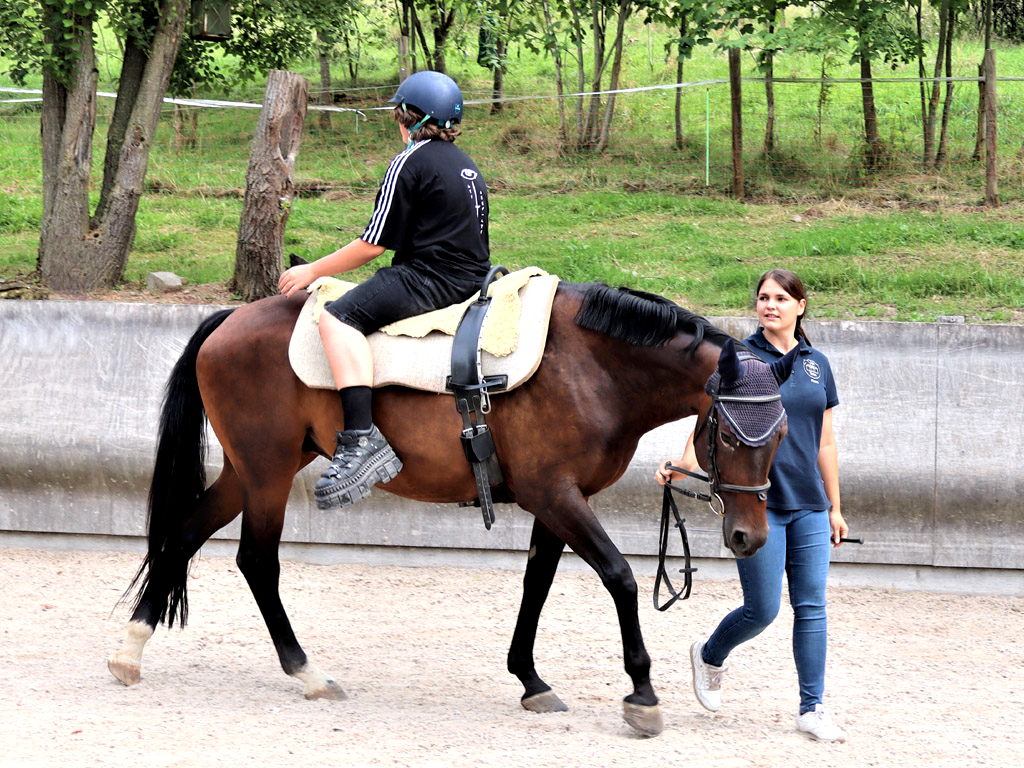 Reittherapie für psychisch kranke Kinder